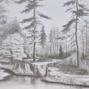 Bild von Stille des Waldes